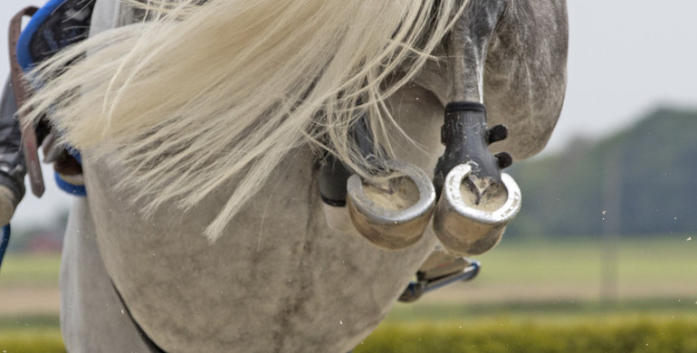 FEI Tribunal dismisses athletes’ appeals on Villeneuve-Loubet decision