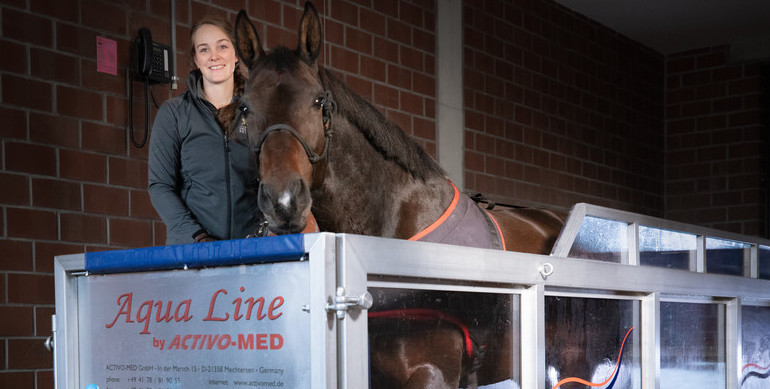 Activo-Med: The leading manufacturer of magnetic therapy products and aqua training supports systems for horses for more than 20 years
