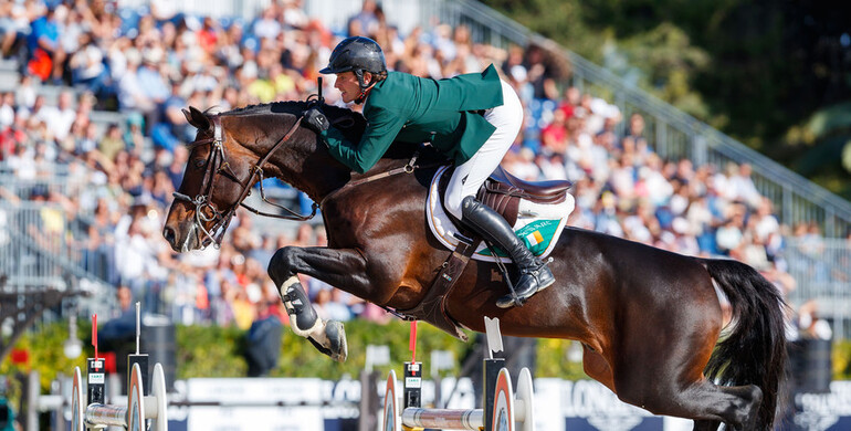 Vechta: The best for upper classes