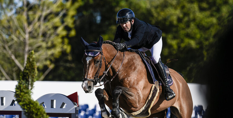 Marc Dilasser on a winning streak at Hubside Jumping