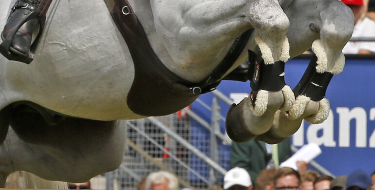 FEI Jumping Rules subject to revision in 2021