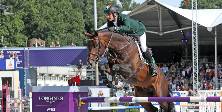 From youngster to international Grand Prix horse: Balou du Reventon