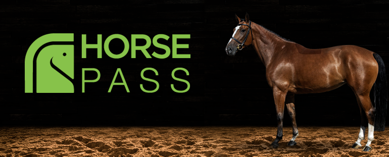HORSE-PASS©: The first connecting platform for the promotion, the sale and purchase of sport horses