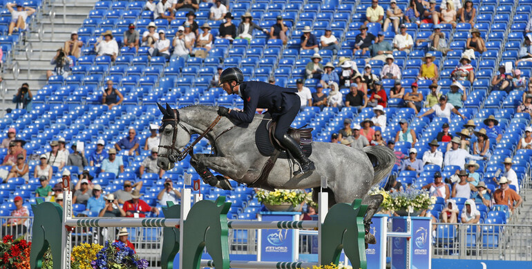 Harry Charles takes over the reins on Irenice Horta