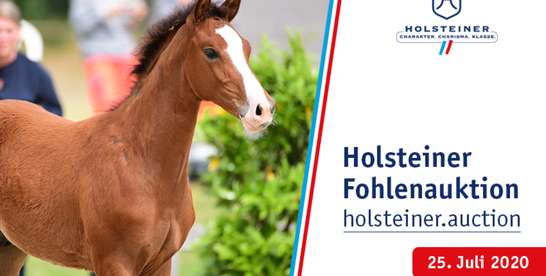 2nd Holsteiner Online Foal Auction Sale with top genetics