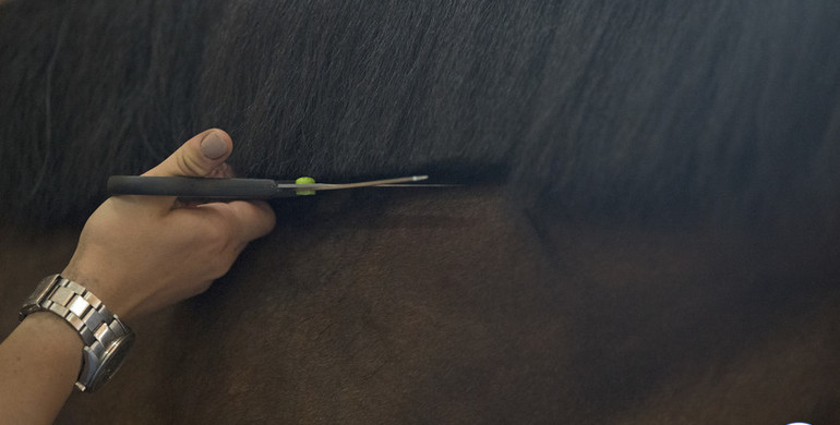 GoPro – part four: Tips & tricks on cutting vs. pulling manes from the world’s best grooms