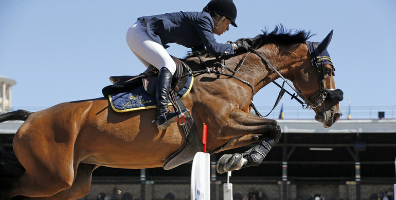 Veronese Teamjoy to Constant Van Paesschen