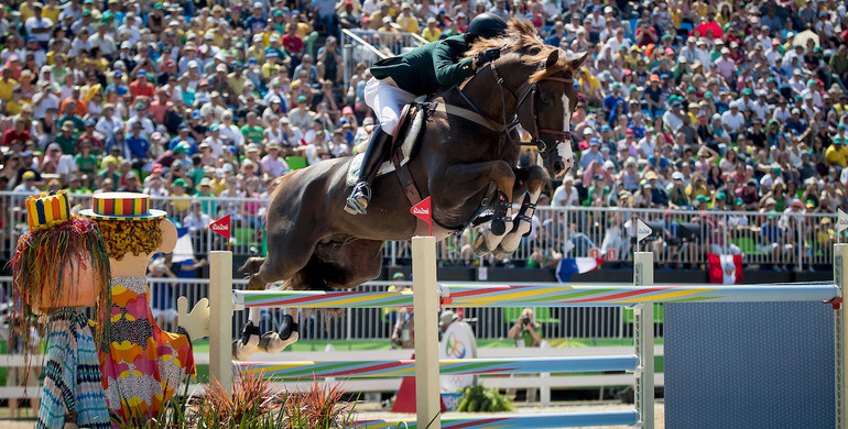 Olympic genes running through 3rd KWPN Online Foal Auction