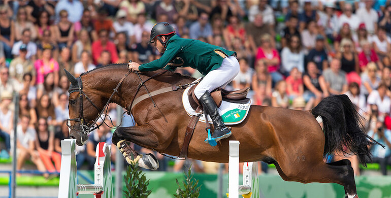From the proven blood of Tangelo van de Zuuthoeve to the exclusive Grand Prix sire All Star