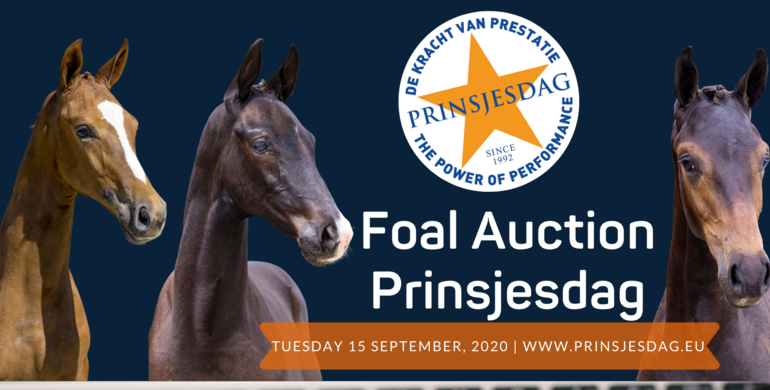 Auction order of go Foal Auction Prinsjesdag revealed; register now as an online bidder!