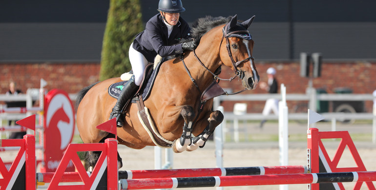 From youngster to international Grand Prix horse: Arkuga
