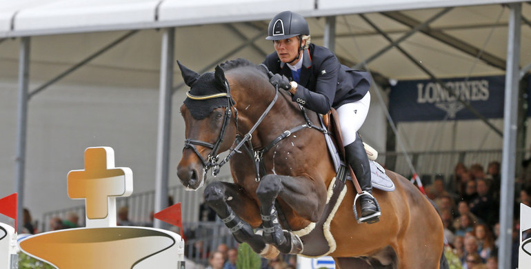 Thank you Sterrehof's Cayetano Z