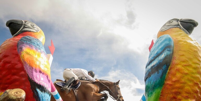 An Irish win for Dermott Lennon and MJM Pursuit in Vejer de la Frontera