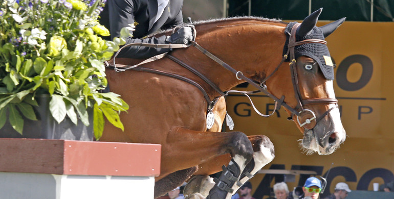Liberty Son 2 retires from the sport