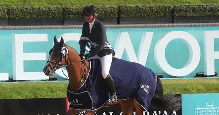 Global sales break the records in The Billy Stud Elite Auction