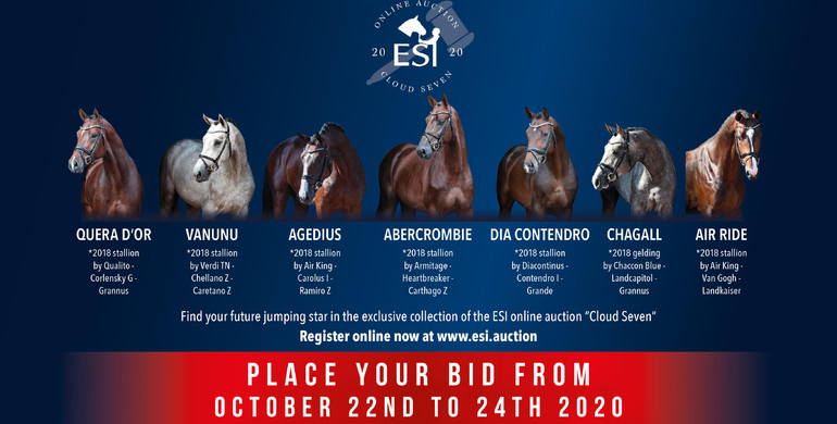 3. ESI Online Auction “Cloud Seven” starts with 7 Elite Youngster today to Saturday 24th October 2020