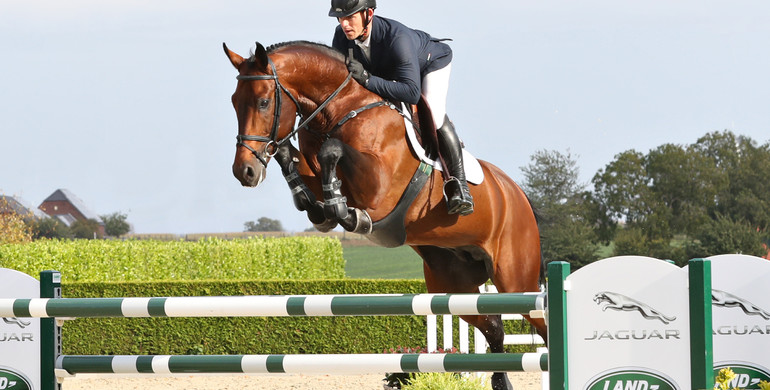 Holger Hetzel’s 16th International Sport Horse Sales: The auction catalogue is online