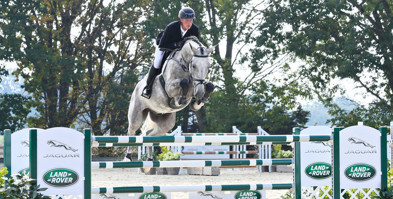 Holger Hetzel Sport Horse Sales presents: Boom