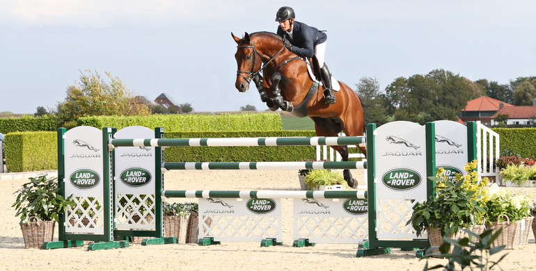 Holger Hetzel Sport Horse Sales presents: Dance Monkey