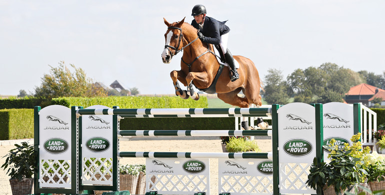 Holger Hetzel Sport Horse Sales presents: Freestyler