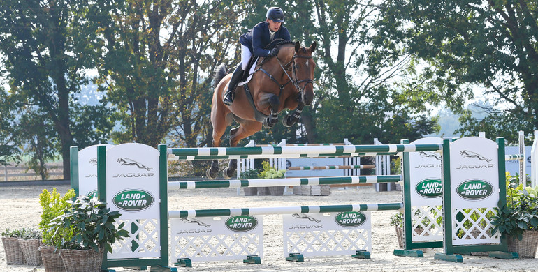 Holger Hetzel Sport Horse Sales presents: Higher Love
