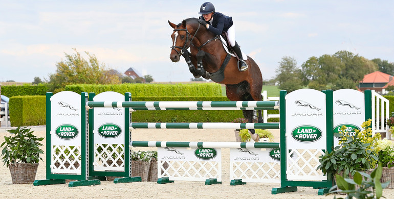 Holger Hetzel Sport Horse Sales presents: Hollywood
