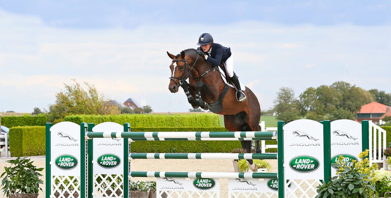 Holger Hetzel’s 16th Sport Horse Sales has been cancelled - The auction collection is available for sale