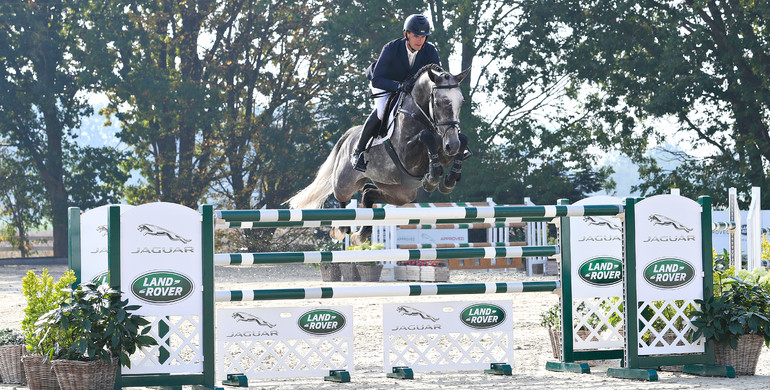 Holger Hetzel Sport Horse Sales presents: Honour