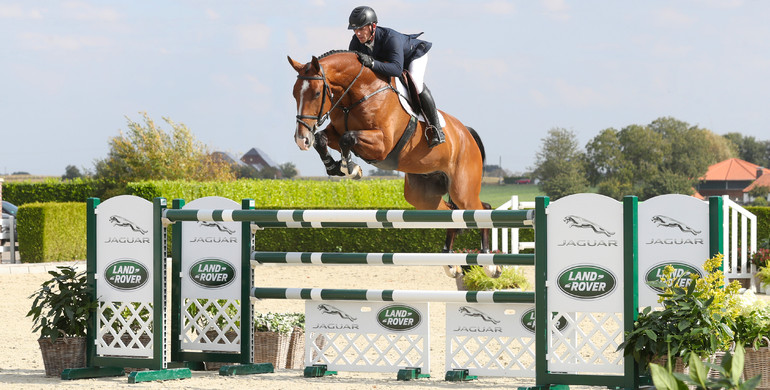 Holger Hetzel Sport Horse Sales presents: Tik Tok