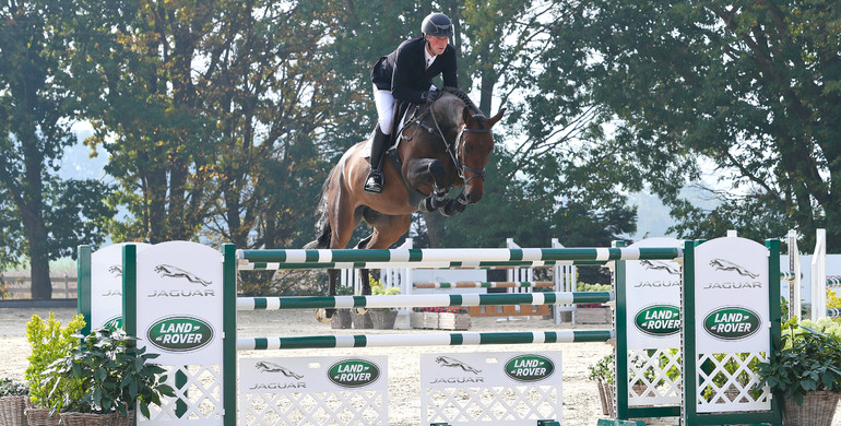 Holger Hetzel Sport Horse Sales presents: Your Man