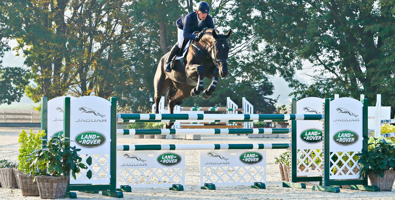 Holger Hetzel Sport Horse Sales presents: Pocahontas