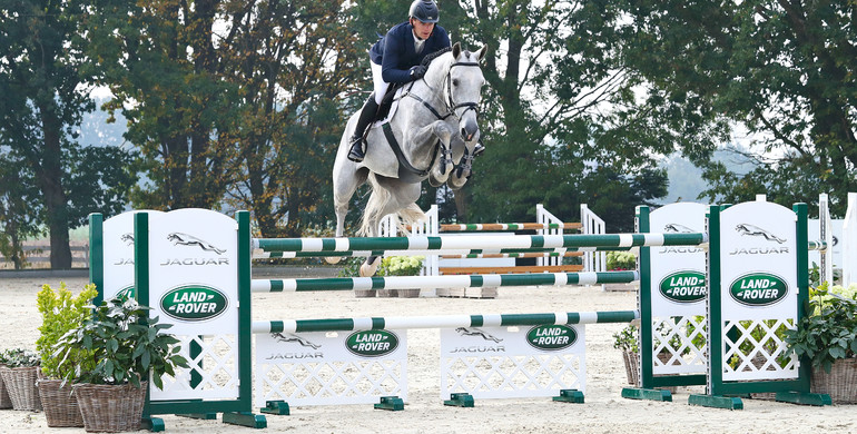 Holger Hetzel Sport Horse Sales presents: Sandro Blanc