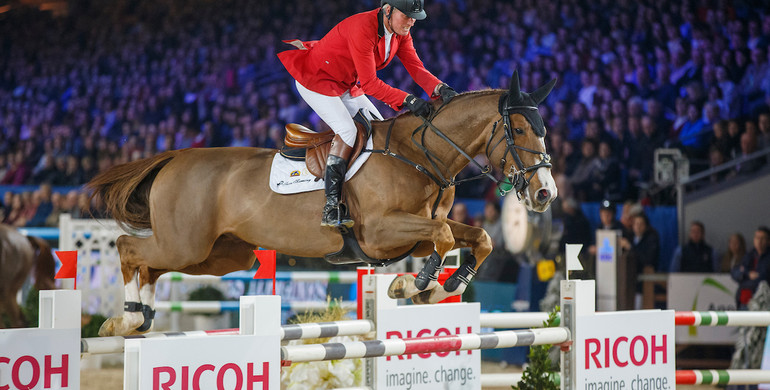 Sensational breeding mares and exclusive embryo by Aganix du Seigneur!