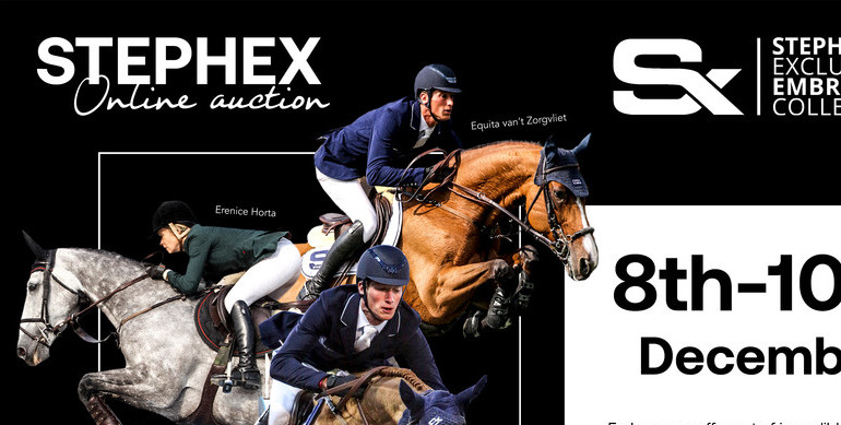 Find your next superstar in the Stephex Exclusive Embryo Collection 2020