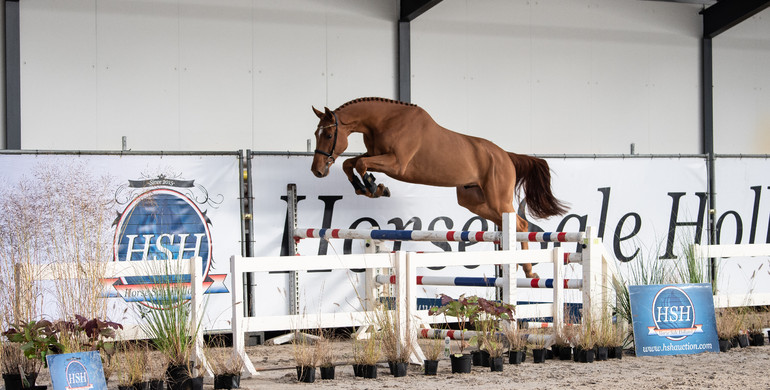 Sixth edition of HSH Auction ready for take off