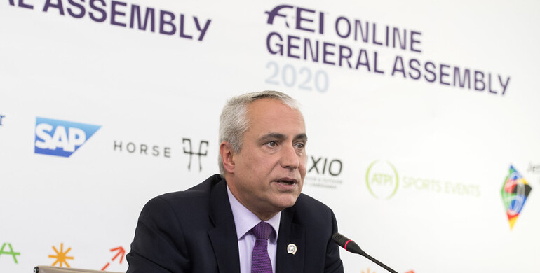 The FEI Online General Assembly: Summary of key discussions