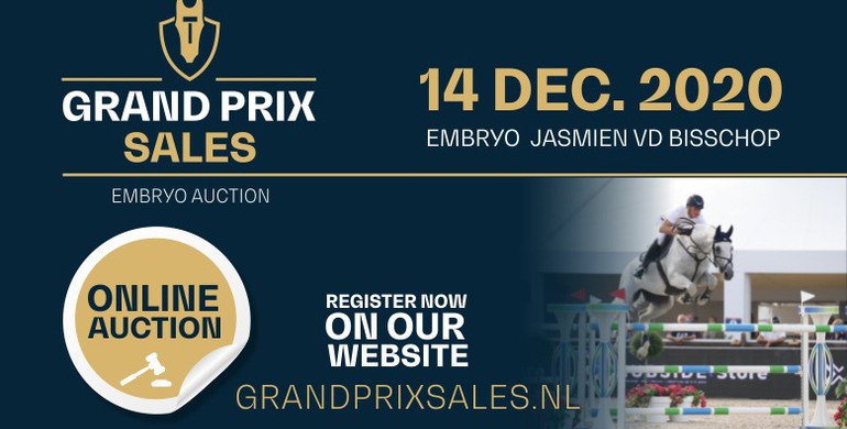 Grand Prix Sales Embryo Auction: You can’t get closer to medal winners & CSI5* Grand Prix winners