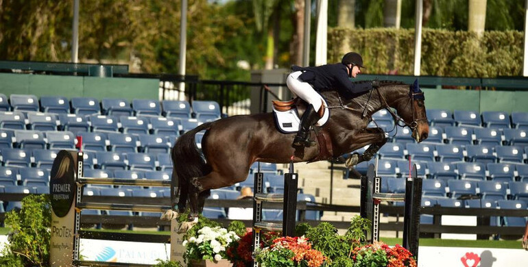 McLain Ward and Noche De Ronda claim $73,000 Holiday & Horses 1.50m qualifier CSI4*