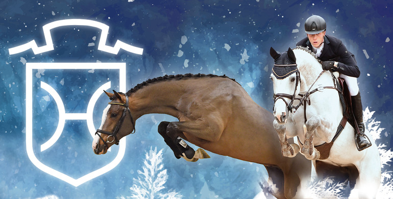 Second Holsteiner Winter Chance: sport horses, promising young stock, broodmares