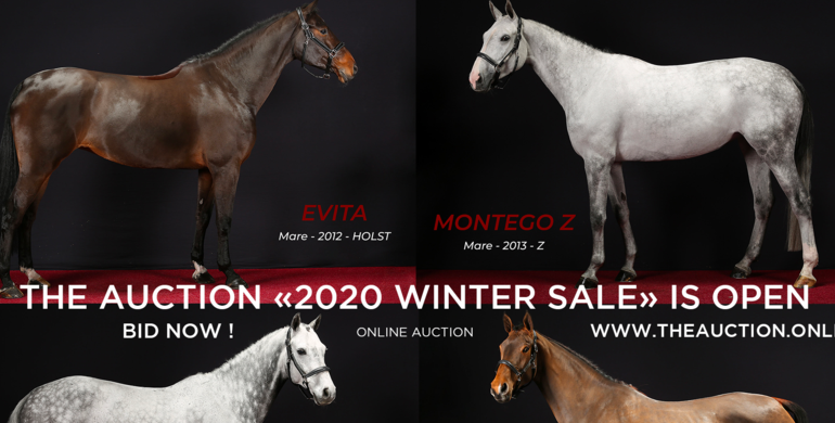 The Auction 2020 Winter Sale: Let the show begin!