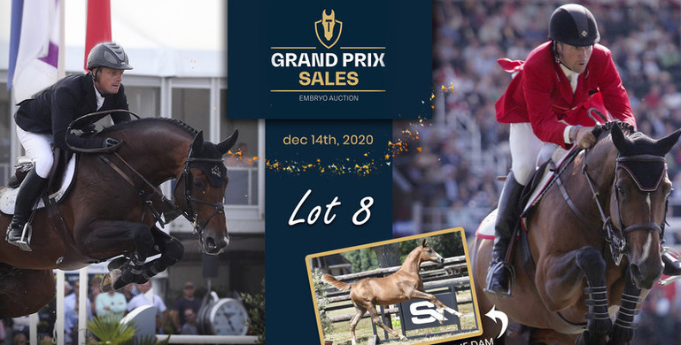 Grand Prix Sales Embryo Auction: Happy Holidays shopping with Olympic medal & Grand Prix winners!