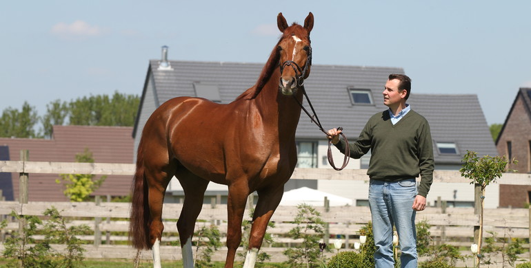 Luc Henry flies away to pursue other passions: the total and unique sale of a leading breeder