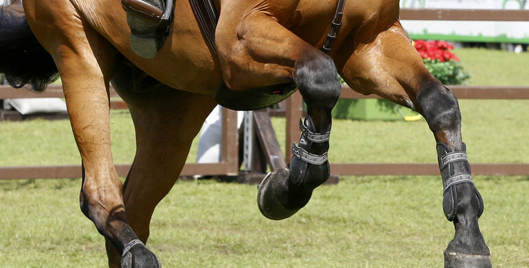 This weekend's CSI3* and CSI2* Grand Prix winners