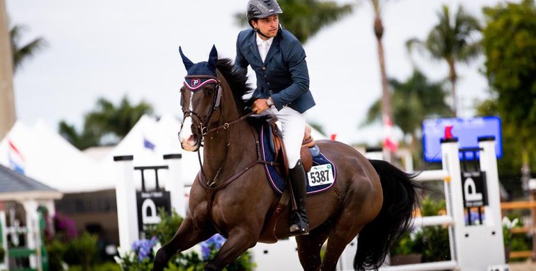World Cup Champion Alamo returns to owner Gerardo Pasquel Mendez