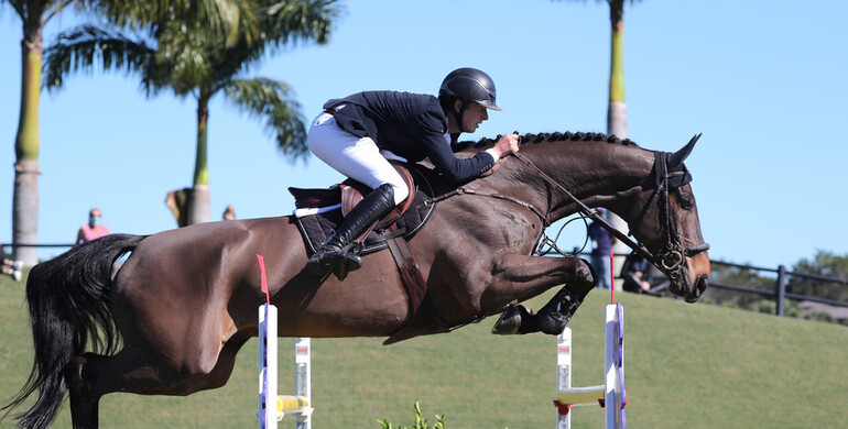 Bertram Allen and Pacino Amiro soar to victory in the $37,000 Adequan® WEF Challenge Cup Round 2
