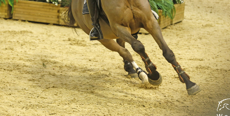 Jonathan Gordon wins the CSI2* Grand Prix in Lier