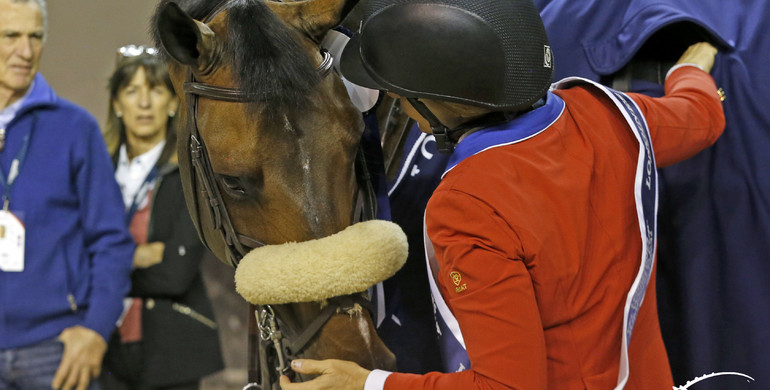 From youngster to international Grand Prix horse: Breitling LS