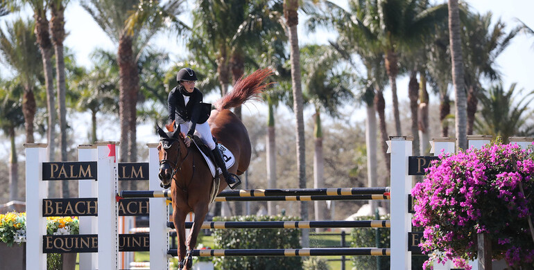 Wilton Porter and Diamonte Darco dominate in the $37,000 Palm Beach Equine Clinic 1.45m qualifier CSI2*