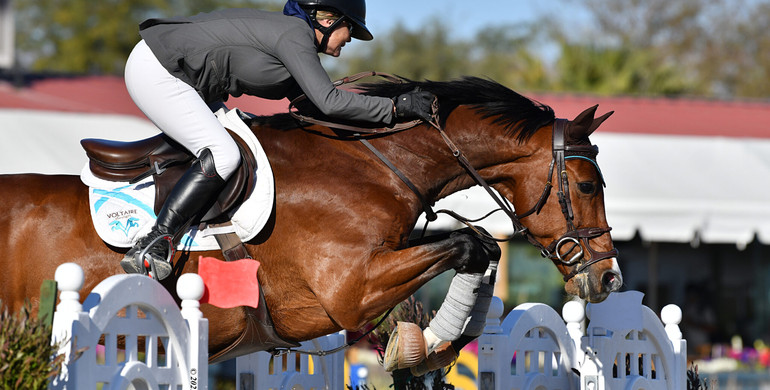 Lisa Carlsen and Livestream 2 emerge victorious in the FEI $137,000 1.55M CSI3* Grand Prix