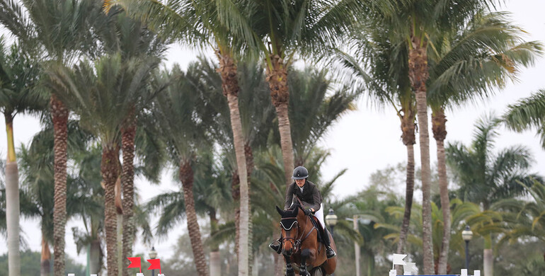 Karen Polle and Jet Run fly high in the $50,000 Palm Beach Equine Clinic 1.45m Grand Prix CSI2*